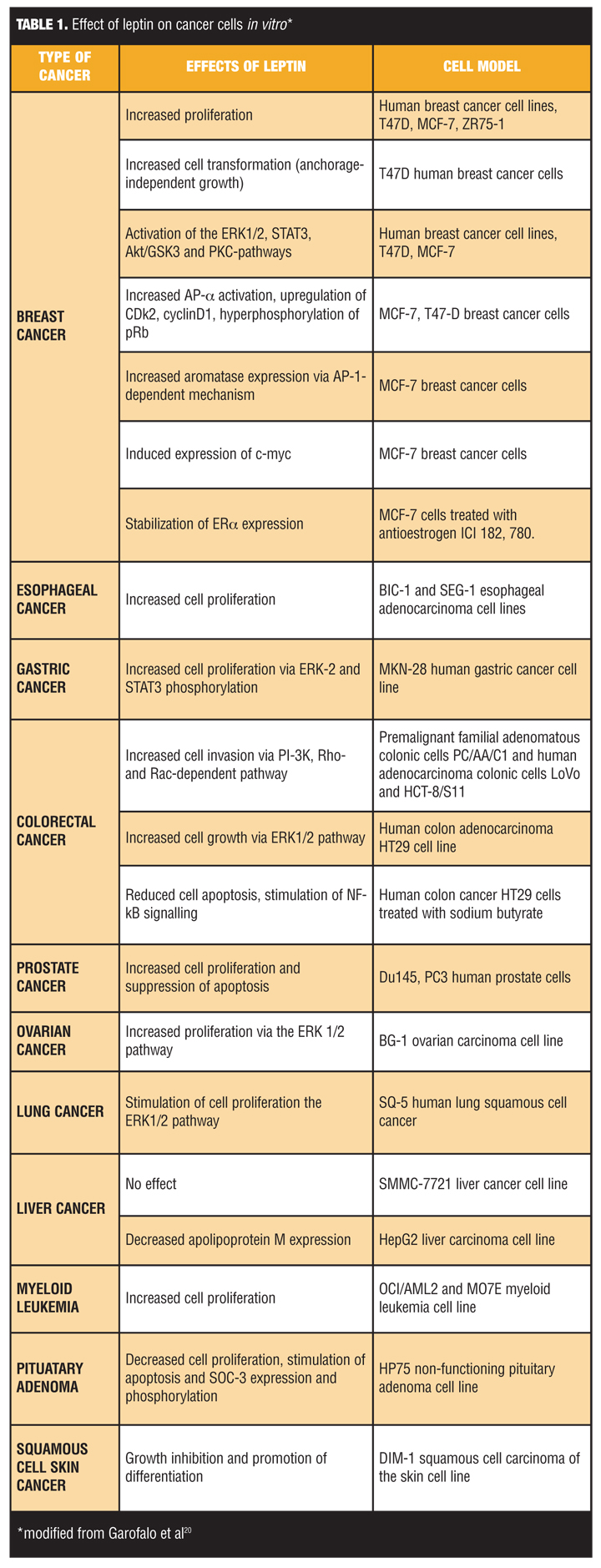 Molecular Mechanisms Linking Obesity and Cancer