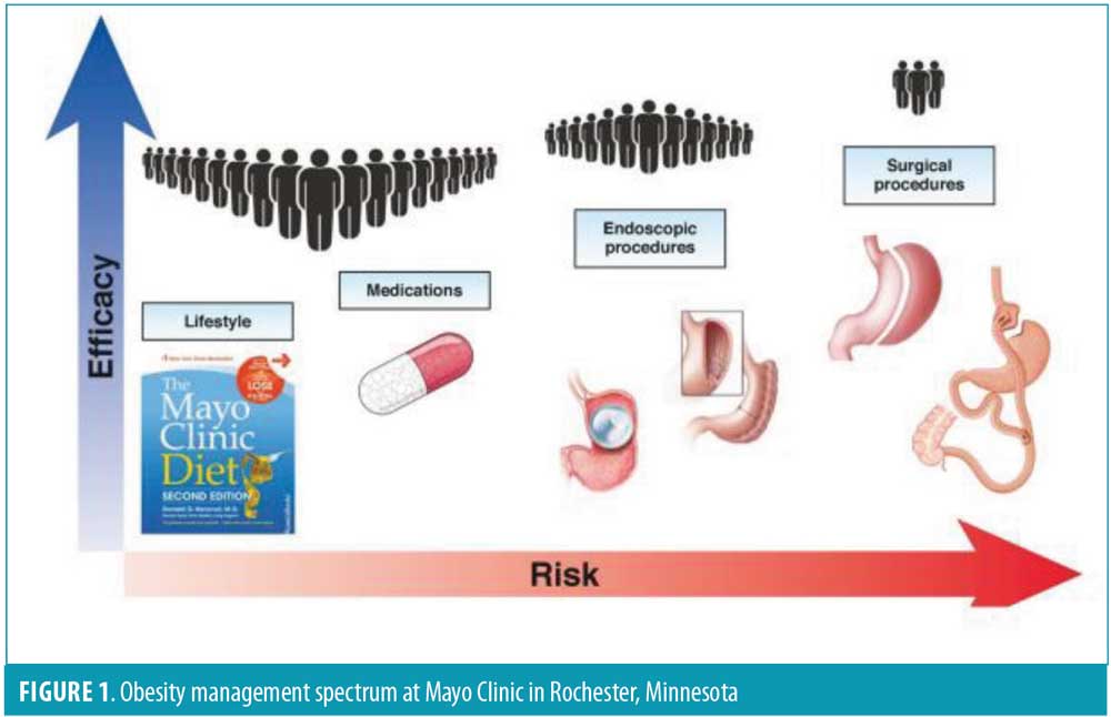 BEST - Bariatric Endoscopic Surgery Trends