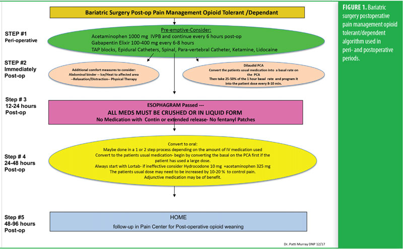 Operative management of acute abdomen after bariatric surgery in the  emergency setting: the OBA guidelines, World Journal of Emergency Surgery