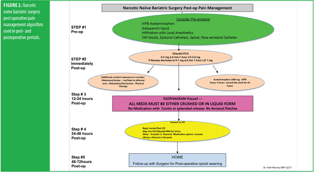 Process Improvement A Case Study Utilizing Pain Management Guidelines